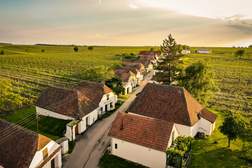 Zwischen Weinbergern und Windmühlen