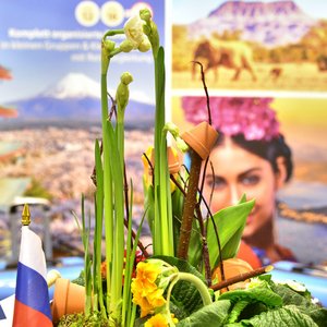 Reisemesse 2019, Messeimpression