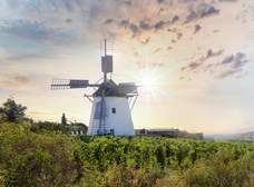 Zwischen Weinbergern und Windmühlen