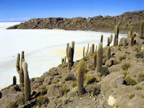 Finschinsel Salar de Uyuni, Foto: schulz aktiv reisen