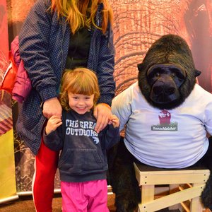 Reisemesse 2019, Messeimpression